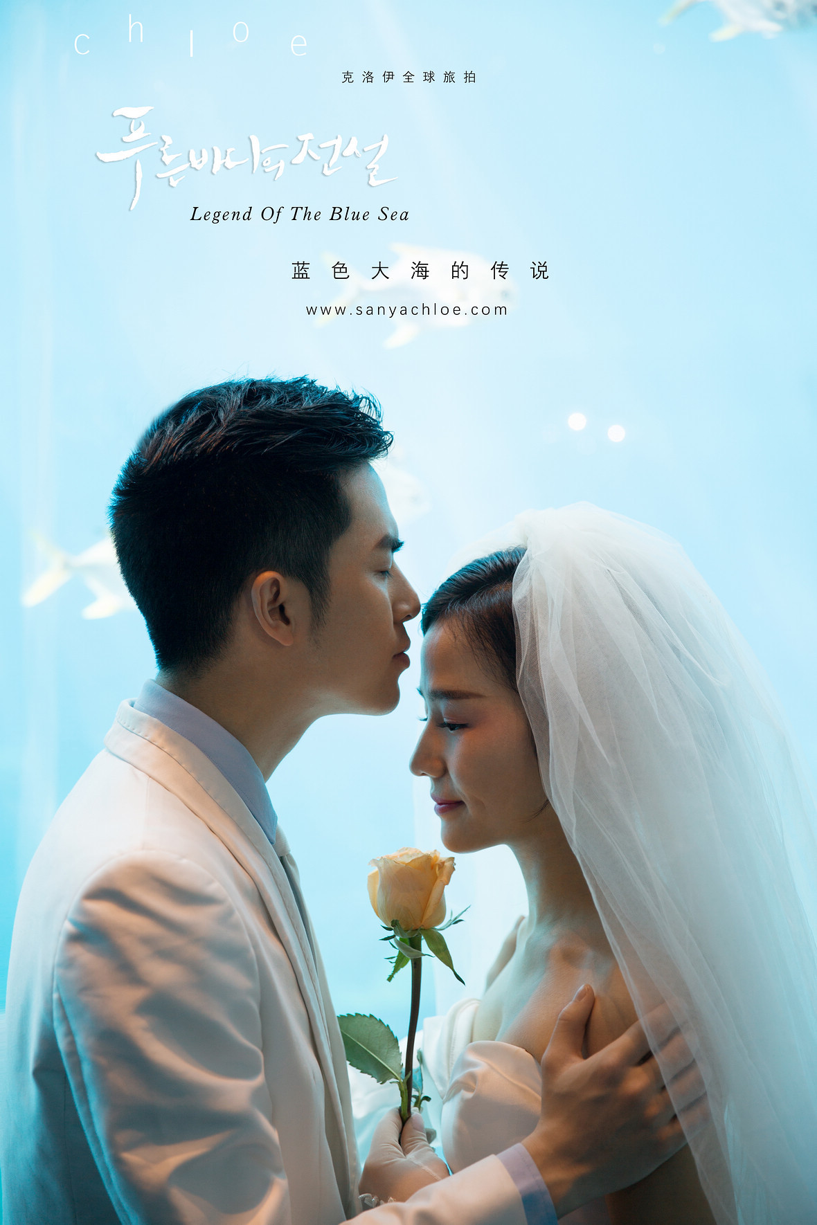 杨先生&刘女士