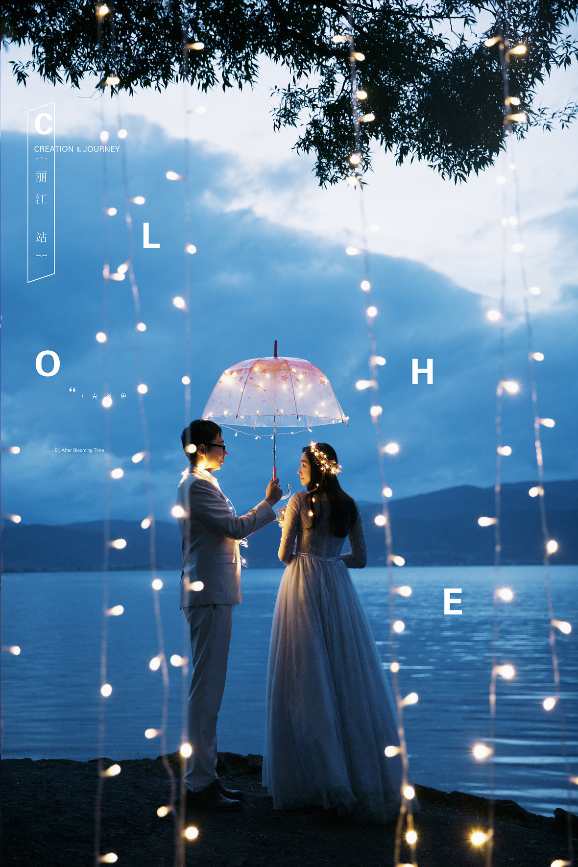 杨先生&陈女士