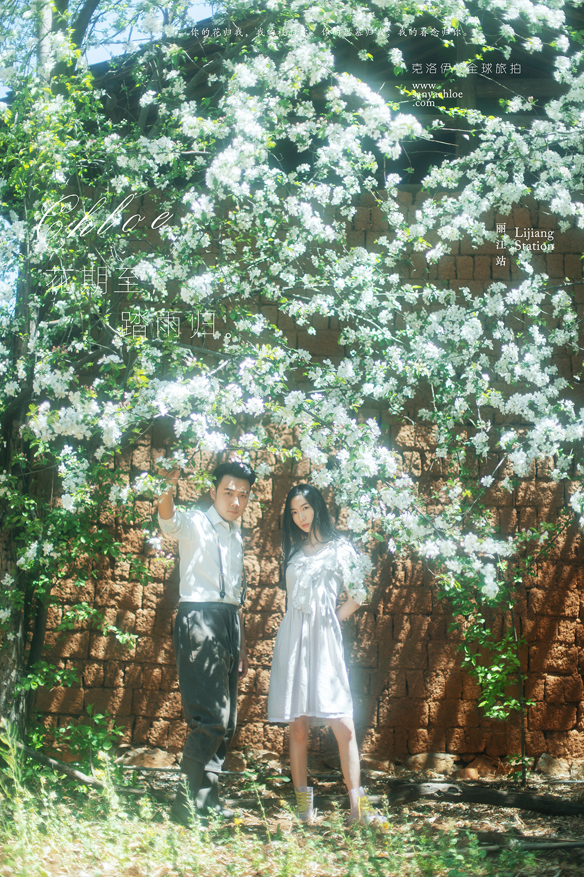 陈先生&张女士