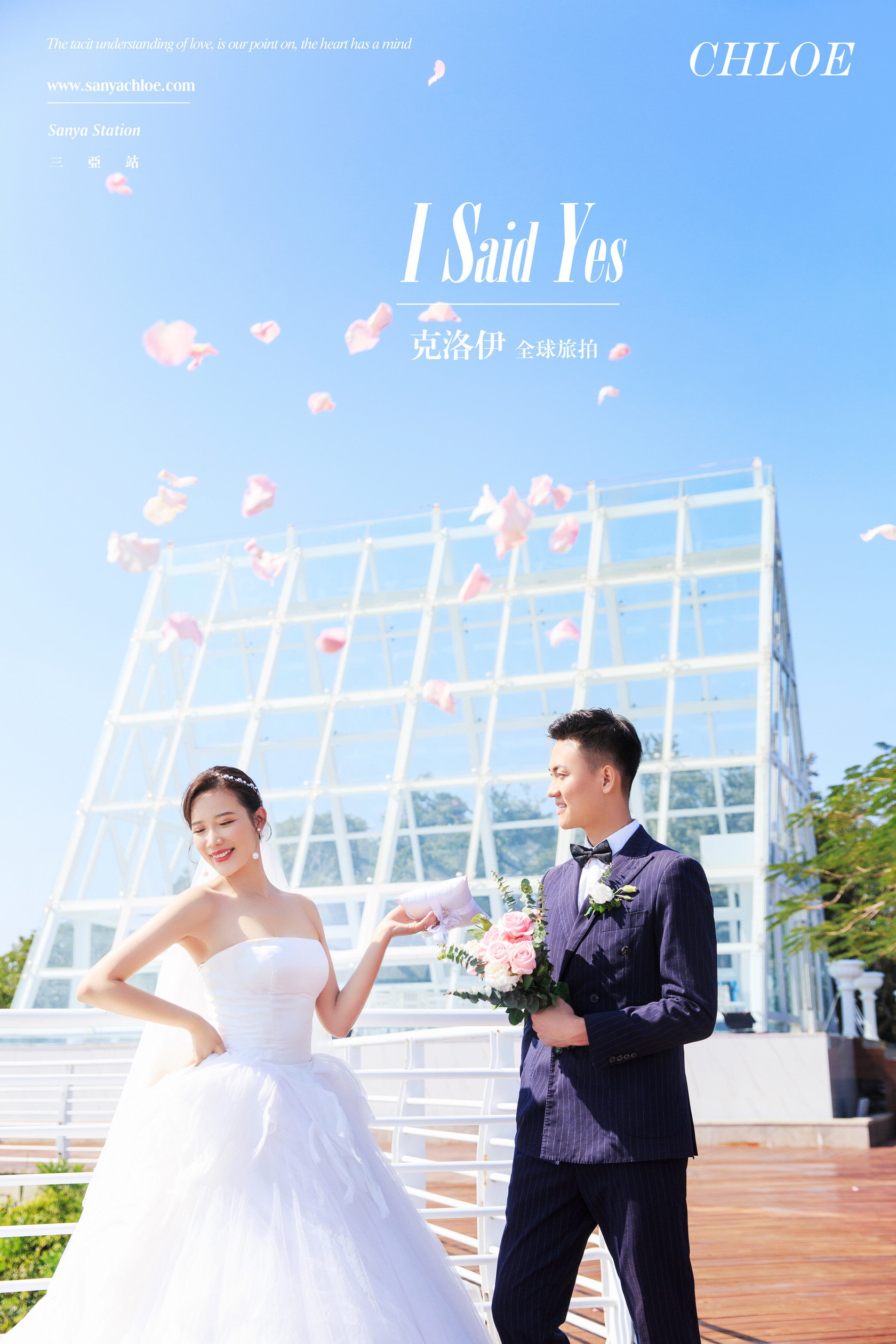 张先生&段女士